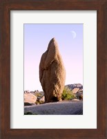 Rock formations at Joshua Tree National Park, California, USA Fine Art Print