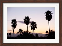 Silhouette of palm trees at dusk, Palm Springs, Riverside County, California, USA Fine Art Print