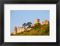 Low angle view of a castle on a hill, Brancion, Maconnais, Saone-et-Loire, Burgundy, France Fine Art Print