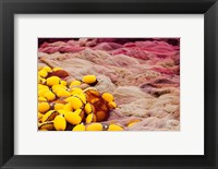 Commercial Fishing Nets with Floats (horizontal) Fine Art Print