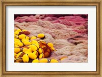 Commercial Fishing Nets with Floats (horizontal) Fine Art Print