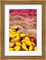 Commercial Fishing Nets with Floats, Port-Vendres, Vermillion Coast, Pyrennes-Orientales, Languedoc-Roussillon, France Fine Art Print