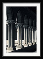 Cloister of a church, Cloitre des Jacobins, Eglise des Jacobins, Toulouse, Haute-Garonne, Midi-Pyrenees, France Fine Art Print
