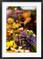 Bunch of flowers at a flower shop, Rue De Buci, Paris, Ile-de-France, France Fine Art Print