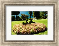 Topiary and flower bed in a garden, Villa Carlotta, Tremezzo, Como, Lombardy, Italy Fine Art Print