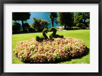 Topiary and flower bed in a garden, Villa Carlotta, Tremezzo, Como, Lombardy, Italy Fine Art Print