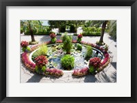 Lily pads in a pond, Isola Madre, Stresa, Lake Maggiore, Italy Fine Art Print