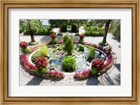 Lily pads in a pond, Isola Madre, Stresa, Lake Maggiore, Italy Fine Art Print