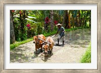 Farmer with Oxen, Rejasa, Penebel, Bali, Indonesia Fine Art Print