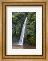 Waterfall near Munduk, Gobleg, Banjar, Bali, Indonesia Fine Art Print