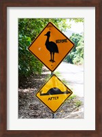 Warning sign at the roadside, Cape Tribulation, Queensland, Australia Fine Art Print