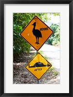 Warning sign at the roadside, Cape Tribulation, Queensland, Australia Fine Art Print