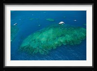 Aerial view of coral reef in the pacific ocean, Great Barrier Reef, Queensland, Australia Fine Art Print