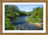 River passing through a forest, Beaver River, Ontario, Canada Fine Art Print
