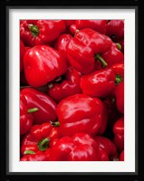 Red bell peppers for sale at weekly market, Arles, Bouches-Du-Rhone, Provence-Alpes-Cote d'Azur, France Fine Art Print