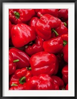 Red bell peppers for sale at weekly market, Arles, Bouches-Du-Rhone, Provence-Alpes-Cote d'Azur, France Fine Art Print