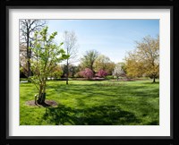 Sherwood Gardens, Baltimore Fine Art Print
