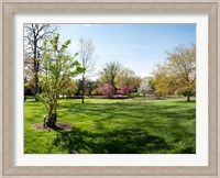 Sherwood Gardens, Baltimore Fine Art Print