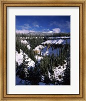 Snow covered trees in winter, Godfrey Glen, Crater Lake National Park, Oregon, USA Fine Art Print