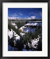 Snow covered trees in winter, Godfrey Glen, Crater Lake National Park, Oregon, USA Fine Art Print