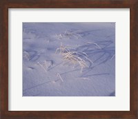 Snow covered grass on South Rim, Crater Lake National Park, Oregon, USA Fine Art Print