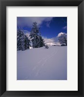Snowshoe tracks on snow, Mt. Scott, Crater Lake National Park, Oregon, USA Fine Art Print