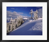 Snow covered trees in winter, Mt. Scott, Crater Lake National Park, Oregon, USA Fine Art Print