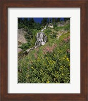 Fireweed at Vidae Falls, Crater Lake National Park, Oregon, USA Fine Art Print