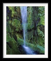 Wheeler Creek Waterfall on Dutton Ridge, Crater Lake National Park, Oregon, USA Fine Art Print