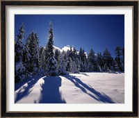 Sunrise through snow covered fir trees at South Rim, Crater Lake National Park, Oregon, USA Fine Art Print