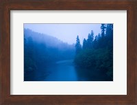 River passing through a forest in the rainy morning, Jedediah Smith Redwoods State Park, Crescent City, California, USA Fine Art Print