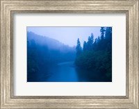 River passing through a forest in the rainy morning, Jedediah Smith Redwoods State Park, Crescent City, California, USA Fine Art Print