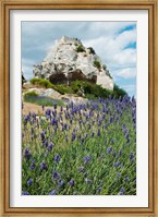 Lavender field in front of ruins of fortress on a rock, Les Baux-de-Provence, Provence-Alpes-Cote d'Azur, France Fine Art Print