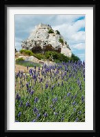 Lavender field in front of ruins of fortress on a rock, Les Baux-de-Provence, Provence-Alpes-Cote d'Azur, France Fine Art Print
