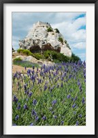 Lavender field in front of ruins of fortress on a rock, Les Baux-de-Provence, Provence-Alpes-Cote d'Azur, France Fine Art Print