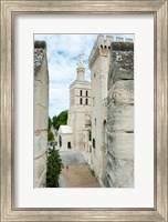 Church in a city, Cathedrale Notre-Dame des Doms d'Avignon, Palais des Papes, Provence-Alpes-Cote d'Azur, France Fine Art Print