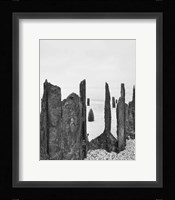 Bay Wraiths Fine Art Print