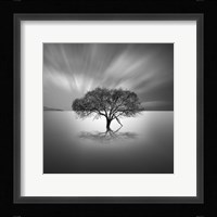 Water VIII Fine Art Print