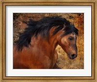 Wild Horse Fine Art Print