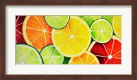 Fruit Slices Fine Art Print