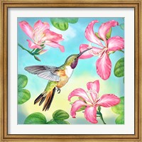 Bahama Woodstar In Orchid Tree Fine Art Print