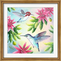 Bee Hummingbirds Fine Art Print
