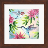 Bee Hummingbirds Fine Art Print