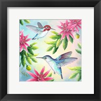 Bee Hummingbirds Fine Art Print