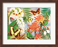 Butterflies With Torch Ginger Fine Art Print