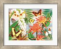 Butterflies With Torch Ginger Fine Art Print