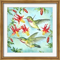 Calliopes Hummingbirds Fine Art Print