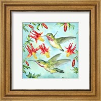 Calliopes Hummingbirds Fine Art Print