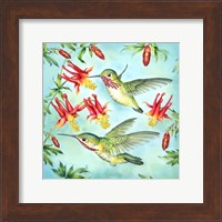 Calliopes Hummingbirds Fine Art Print