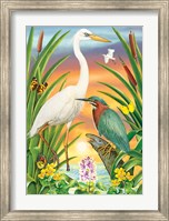 Green And White Herons Fine Art Print